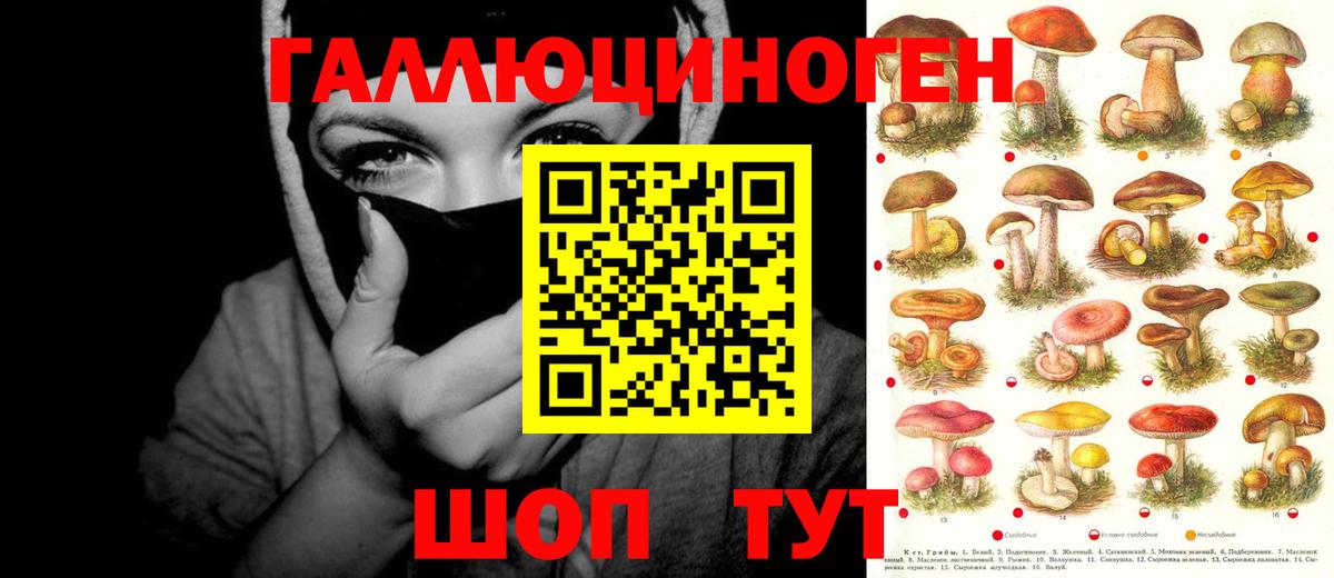 Галлюциногенные грибы GOLDEN TEACHER Курск